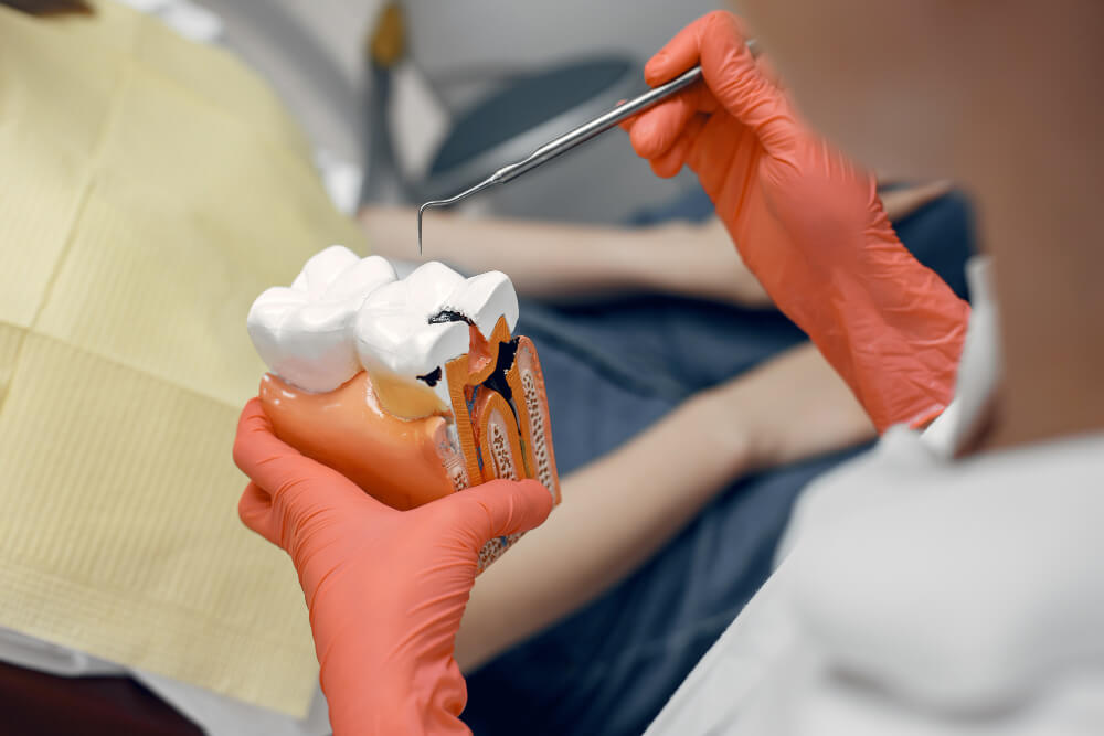 Endodonzia